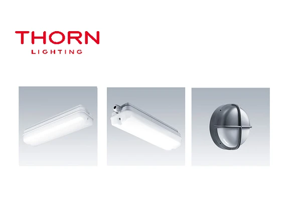 image 11 image 11